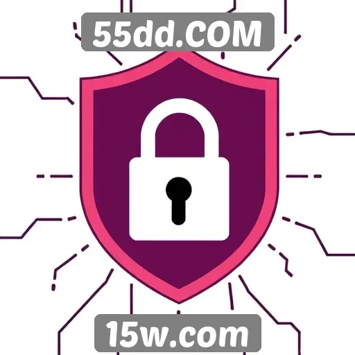 Análise das políticas de segurança do 55dd.COM
